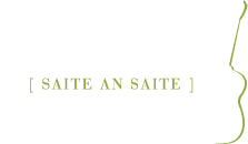 gitarrenbauer